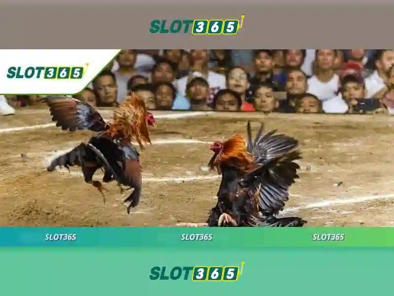 Việt Vị Trong Bóng Đá