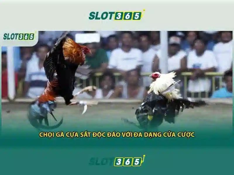 Chính sách thanh toán và bảo mật Chính sách thanh toán và bảo mật