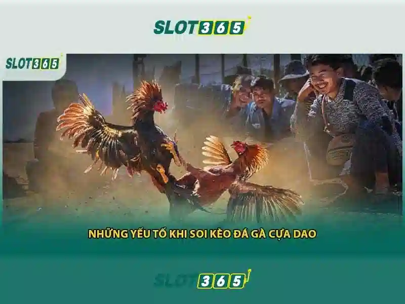Khuyến mại, thanh toán và hỗ trợ
