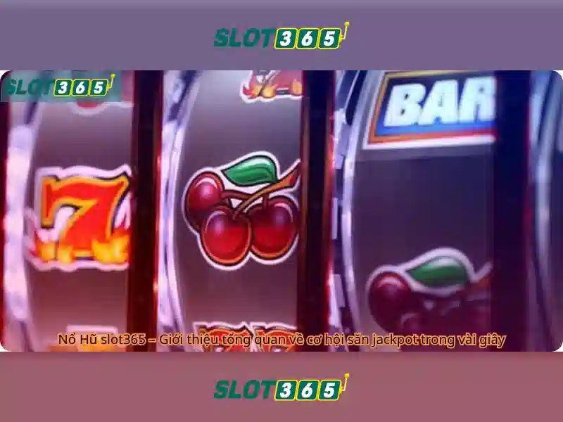 Tổng quan về Slot365