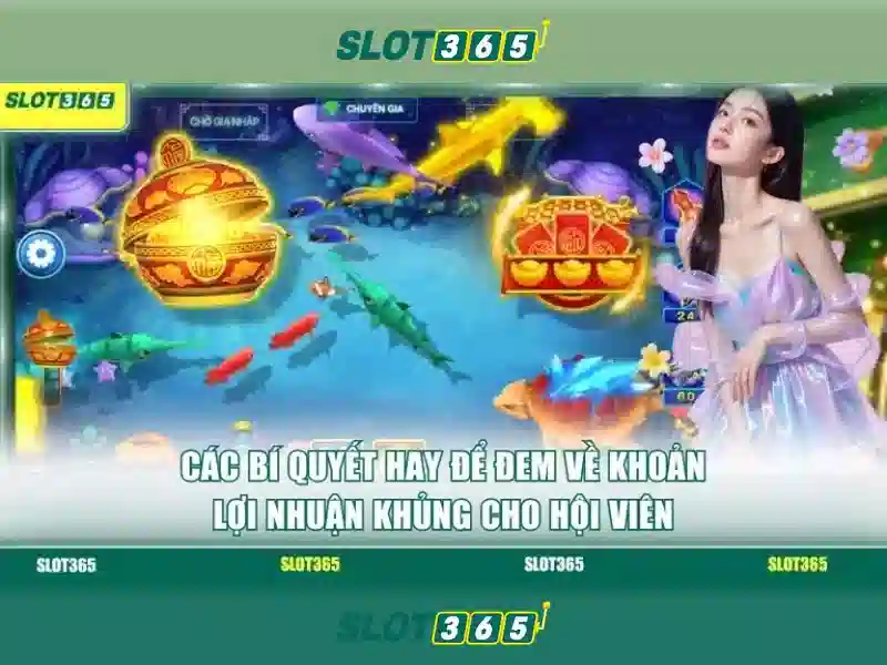 Giao diện và tính năng