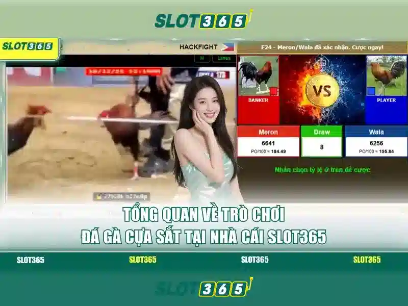 Slot365 - Nền tảng trò chơi quay số trực tuyến nổi bật
