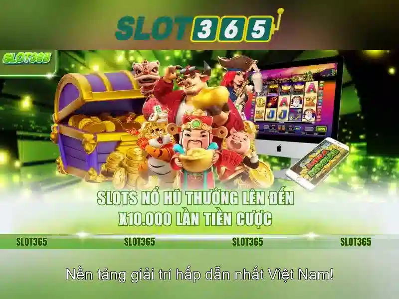 Slot365 là gì? Slot365 là gì?