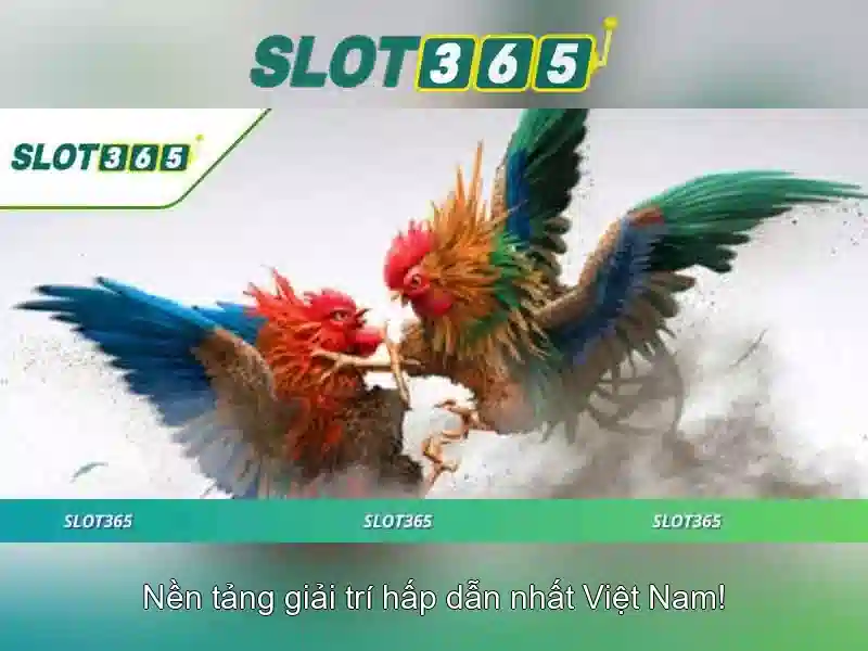Giới thiệu về Slot365
