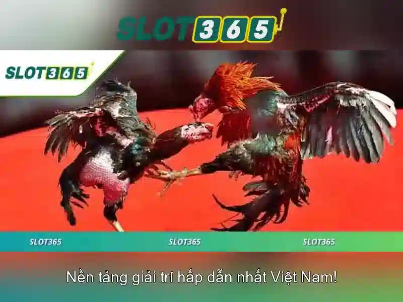Quy dinh ve do tuoi va dieu kien dang ky tai khoan
