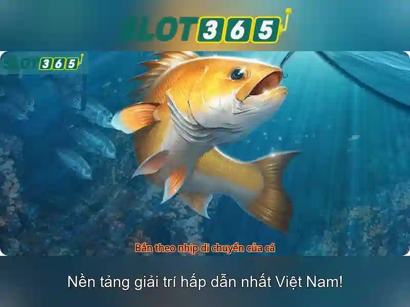 Khuyến mãi và chương trình thưởng