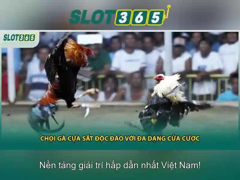 Đặc điểm nổi bật của Slot365