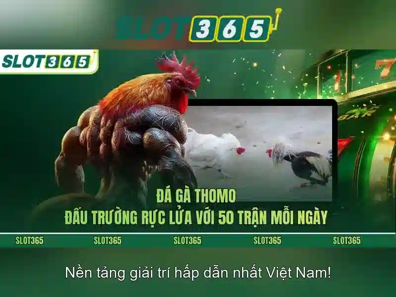 Trò chơi và chất lượng trải nghiệm