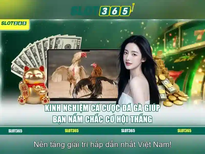 Trò chơi và chất lượng trải nghiệm Trò chơi và chất lượng trải nghiệm
