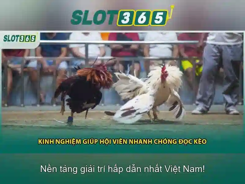 Trò chơi tại Slot365