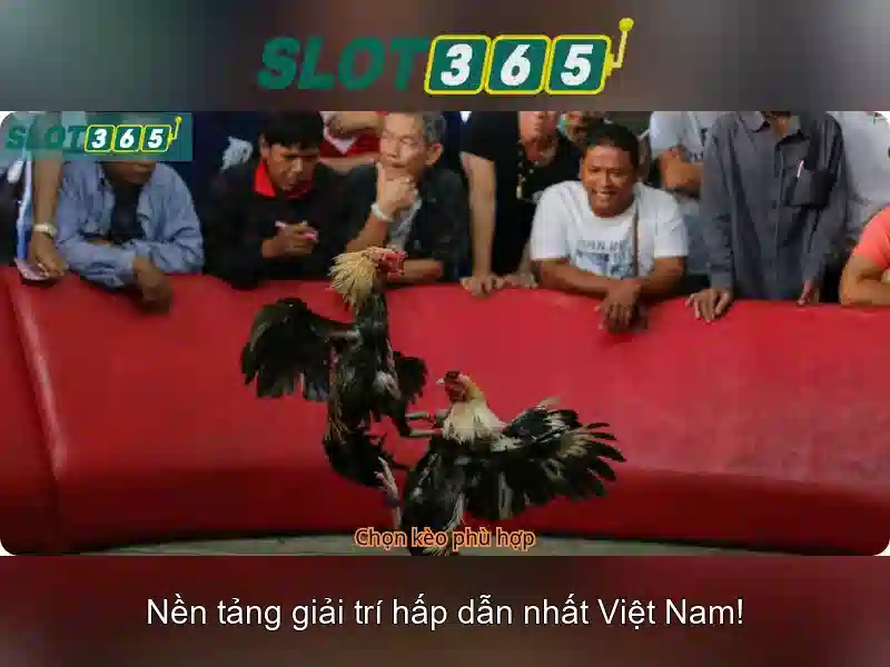 Việt Vị Trong Bóng Đá