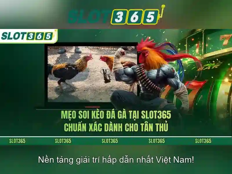 Slot365 – Nền tảng casino trực tuyến phổ biến