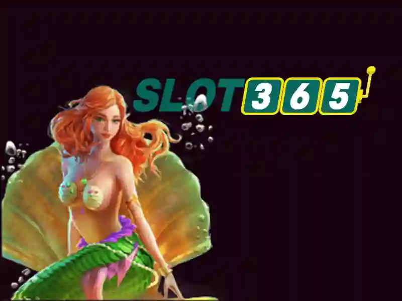 Giao diện và trải nghiệm người dùng