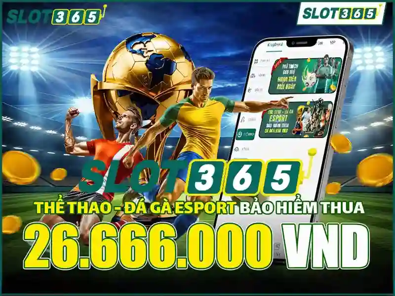 Trải nghiệm trên di động và kết luận Trải nghiệm trên di động và kết luận